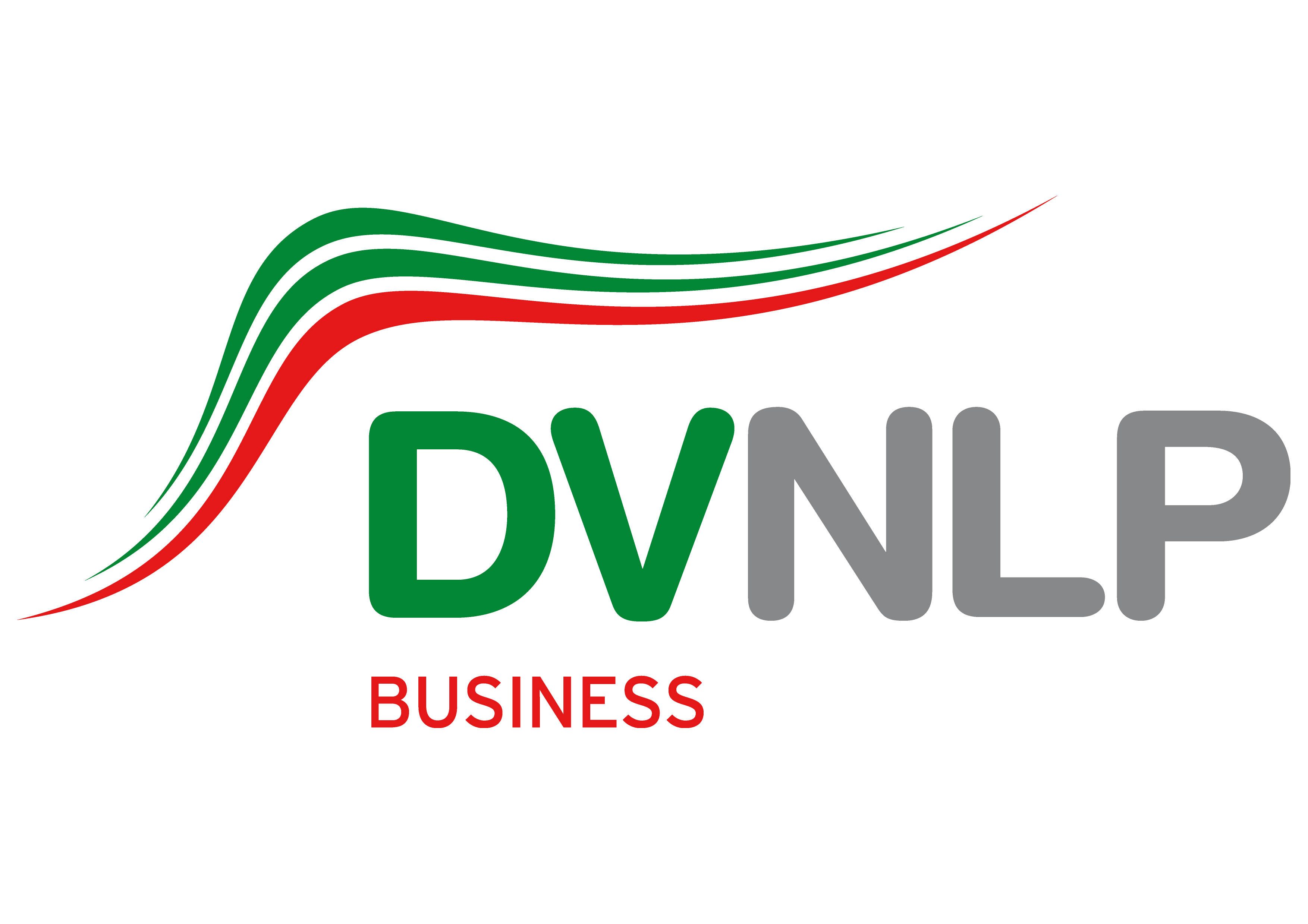 DVNLP Business